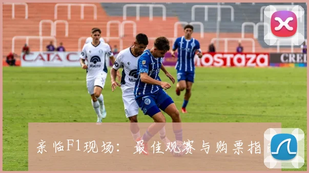 亲临F1现场：最佳观赛与购票指南
