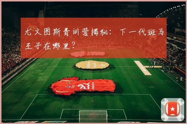 尤文图斯青训营揭秘：下一代斑马王子在哪里？
