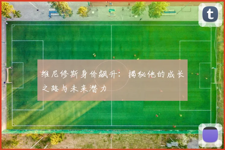 维尼修斯身价飙升：揭秘他的成长之路与未来潜力
