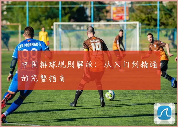 中国排球规则解读：从入门到精通的完整指南